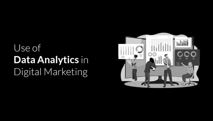 Use of Data Analytics in Digital Marketing